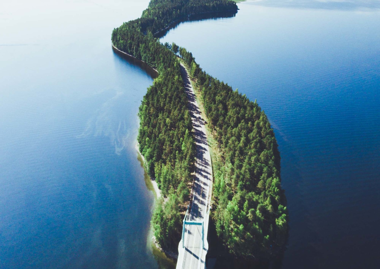 Liisaamme kaikki ajoneuvot, koneet ja laitteet yrityksille. Kaikki.